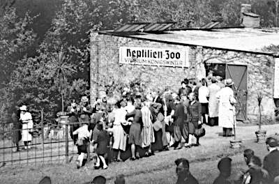 Alte Fotografie des Reptilienzoos "Vivarium Königswinter" mit vielen wartenden Besuchern davor